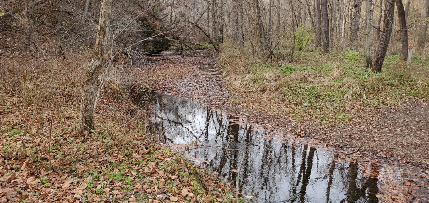 White Pines Forest State Park 